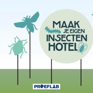 Proeflab; Maak je eigen insectenhotel