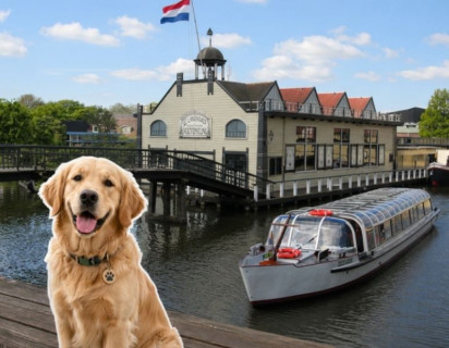 Internationale hondendag 26 augustus
