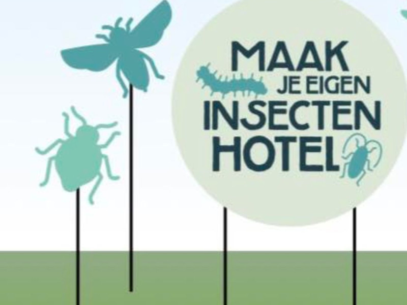 Proeflab; Maak je eigen insectenhotel