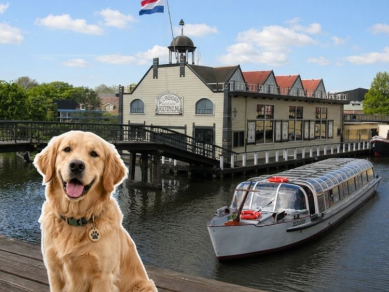 Internationale hondendag 26 augustus