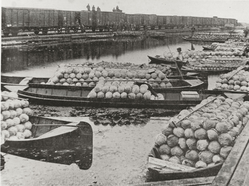 transport in langedijk